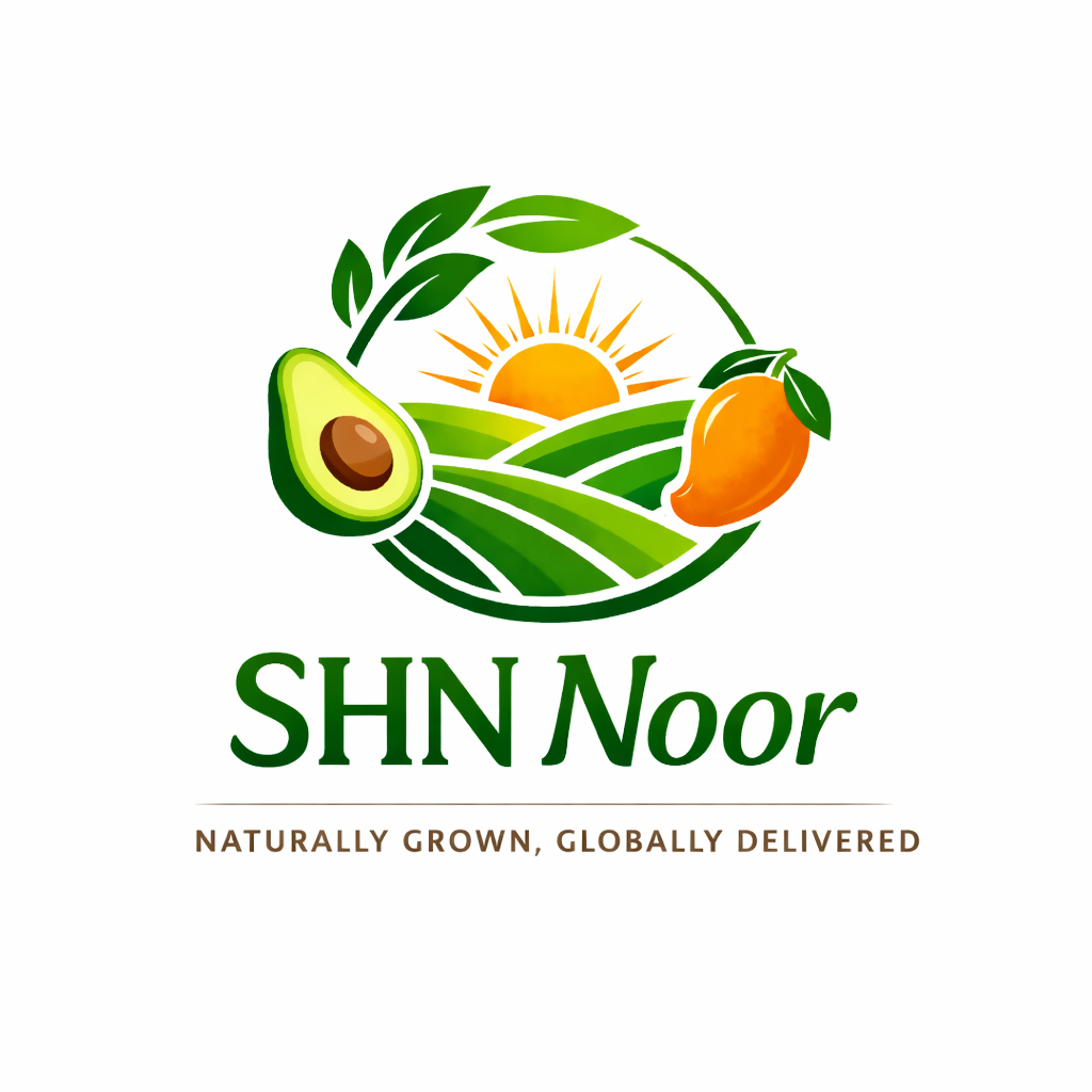 SHN Noor Logo