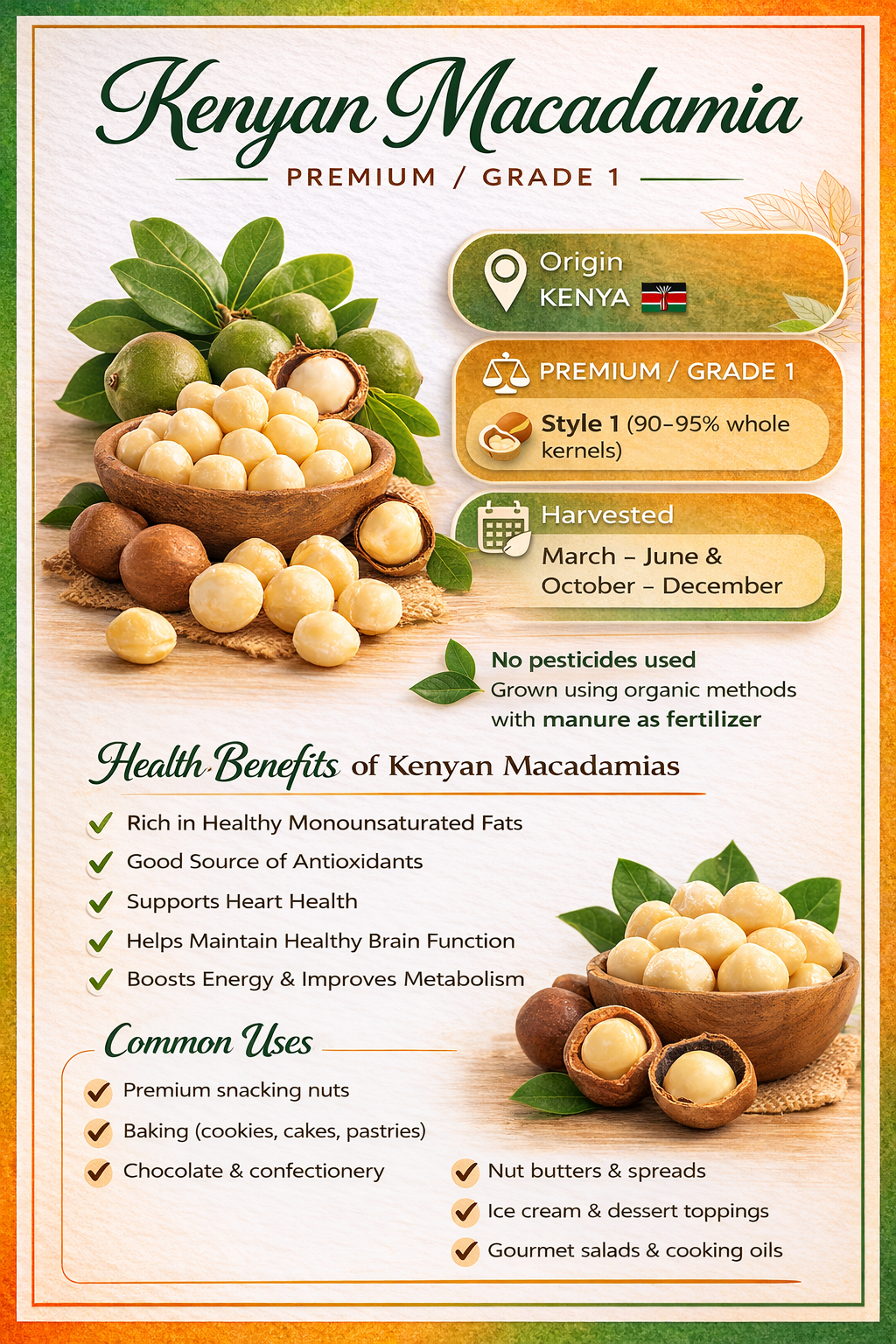Macadamia Infographic