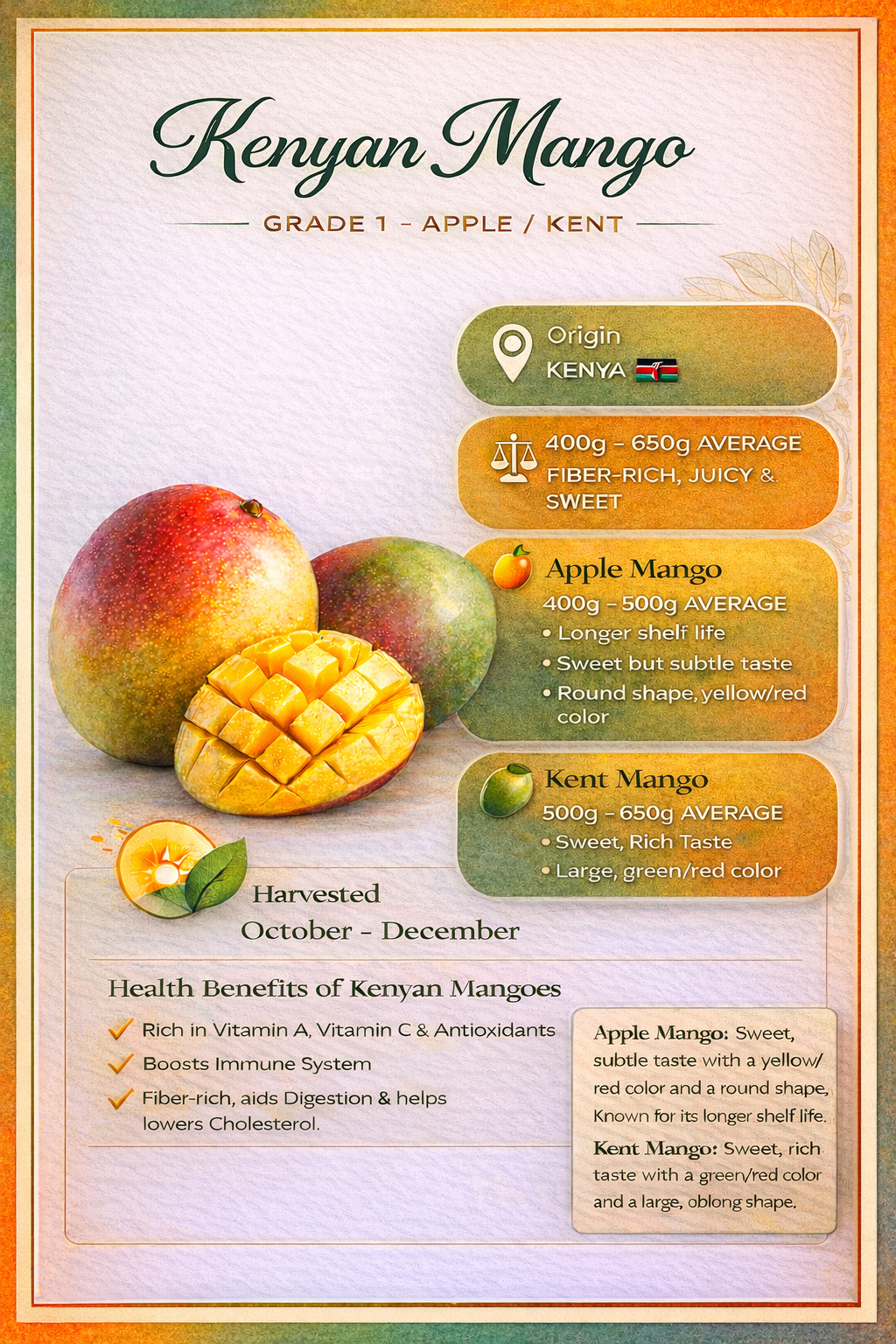Mango Infographic
