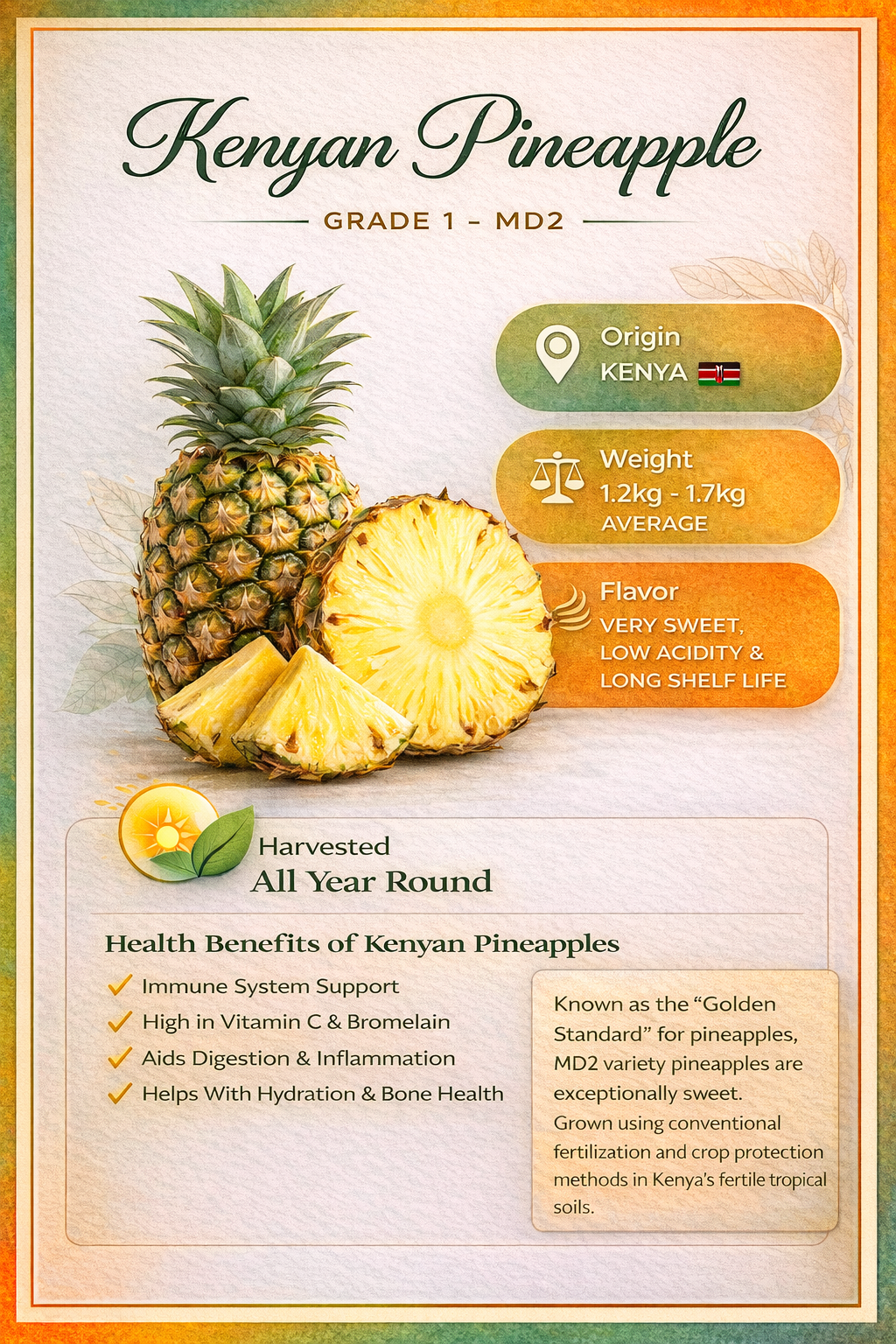 Pineapple Infographic